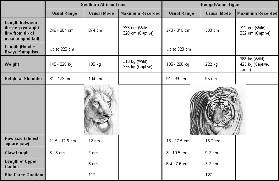 Tiger Size Chart